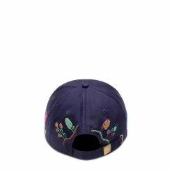 Brain Dead RIVER 6 PANEL CAP