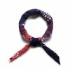 Needles TENUGUI BANDANA - PAISLEY / GRADATION Scarves & Gloves