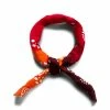 Needles TENUGUI BANDANA - PAISLEY / GRADATION Scarves & Gloves
