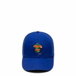 Polo Ralph Lauren POLO SHIRT TWILL SPORT CAP Belts