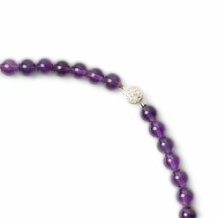 Needles Belts NECKLACE - AMETHYST