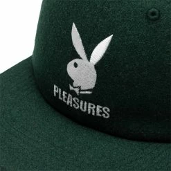 Pleasures PB WOOL STRAPBACK HAT Belts